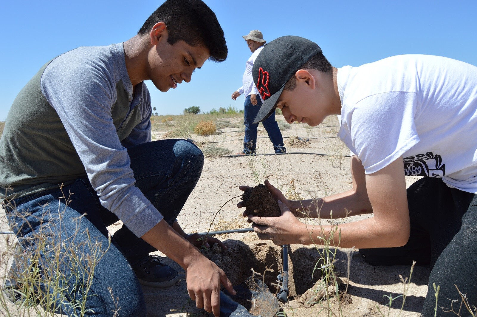 Cimarrones plantan mil 500 árboles en márgenes del Río Colorado