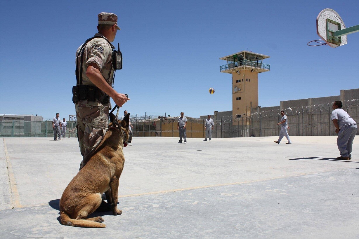 Se unen agentes caninos a la vigilancia penitenciaria en BC