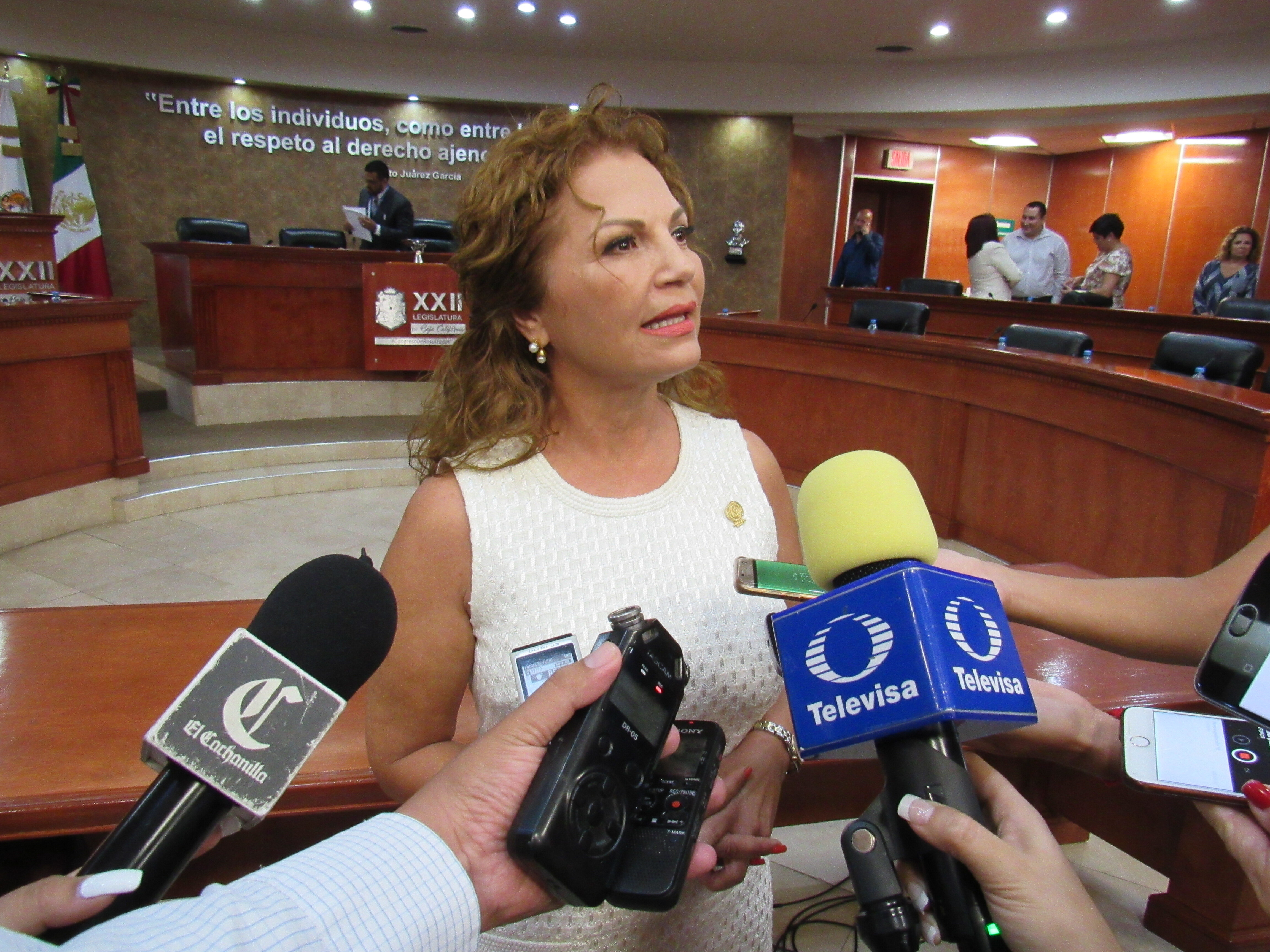López Gorosave, nueva presidenta del Congreso de Baja California