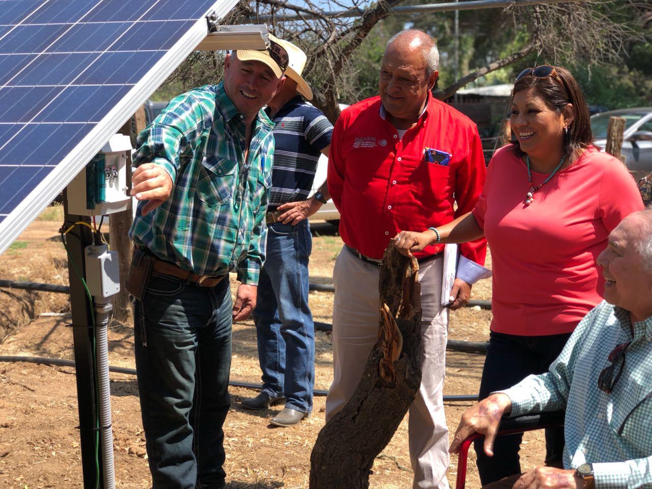 Con páneles solares apoyan a ganaderos en Tecate