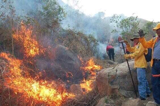 Incendios en la sierra acabaron con 4 mil hectáreas