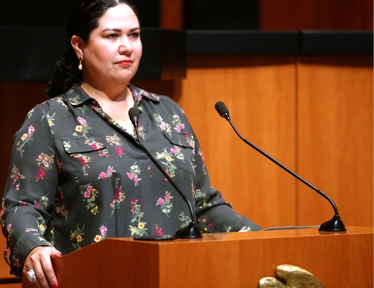 Quiere senadora León castigar a funcionarios que denigren a mujeres