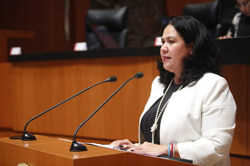 Senadora León pide SHCP intervenga ante decomisos de Marina