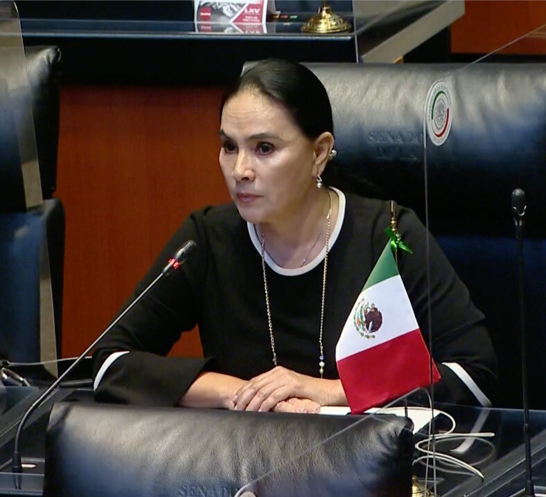 Necesario avanzar hacia energías renovables: Senadora Nancy Sánchez