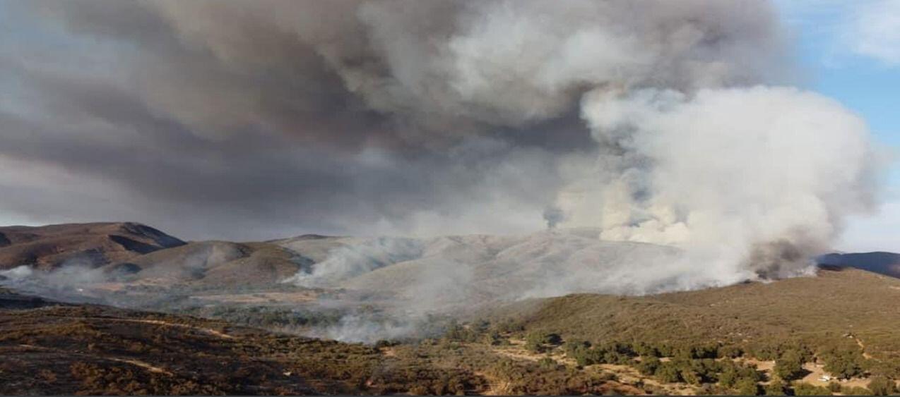 Combaten incendio en el Valle de Guadalupe