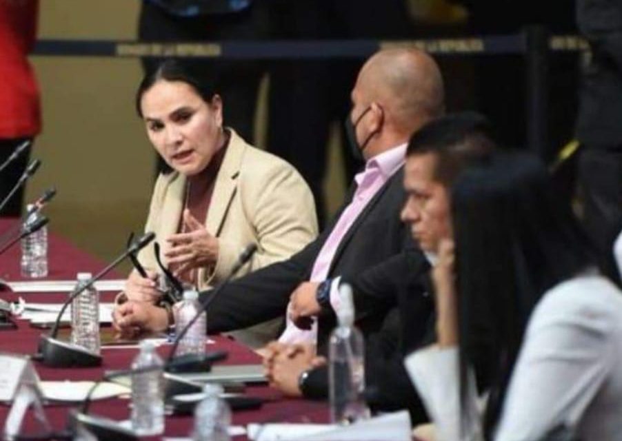 Senado aprueba iniciativas del Grupo Parlamentario de  Morena para el aprovechamiento de las aguas marinas