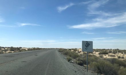 Carretera al Golfo y Puerto Peñasco, en el abandono