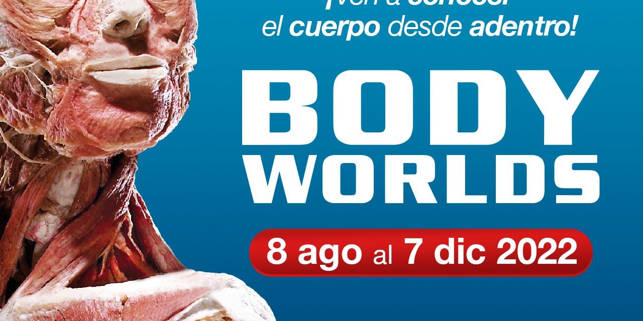 Llegará a Mexicali exposición del cuerpo humano “Body Worlds”