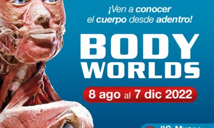 Llegará a Mexicali exposición del cuerpo humano “Body Worlds”