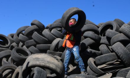 Ayuntamiento retira neumáticos de llantera clausurada
