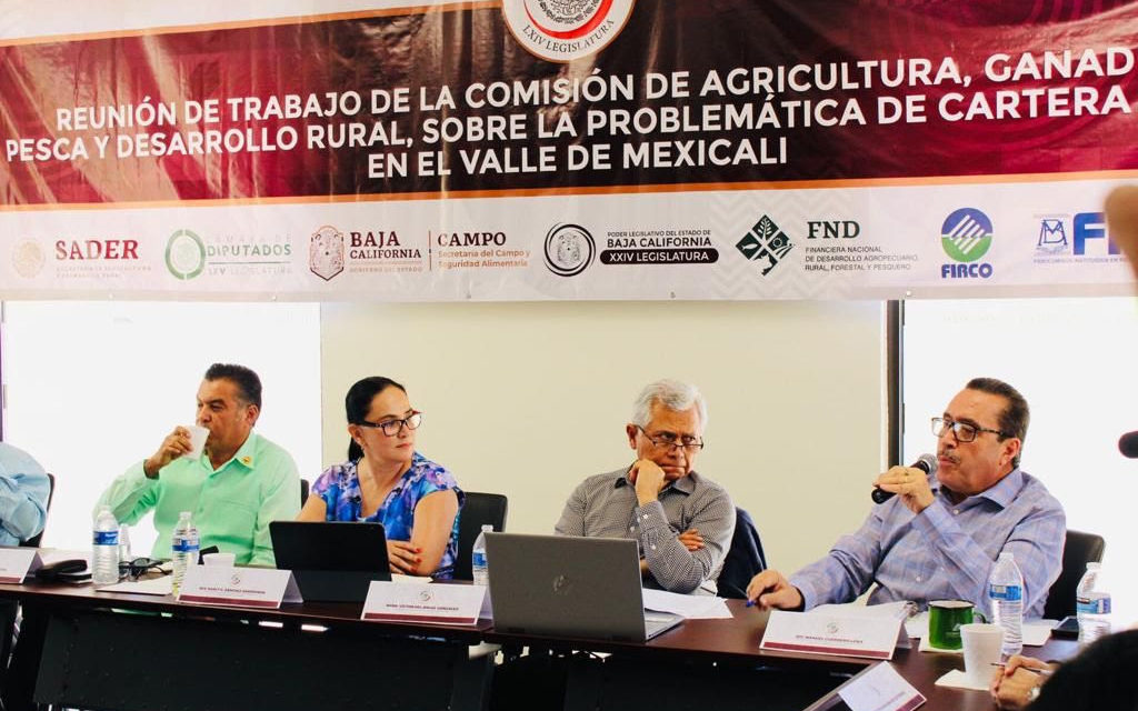 Enfado de productores del Valle de Mexicali es justificado: Manuel Guerrero