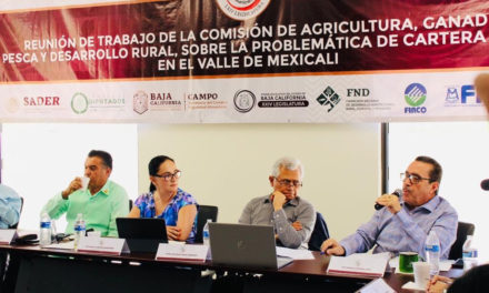 Enfado de productores del Valle de Mexicali es justificado: Manuel Guerrero