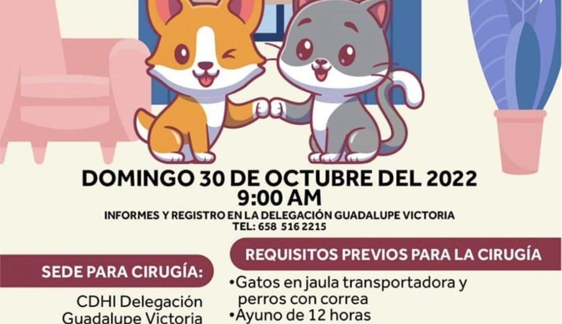 El domingo en el Km. 43, campaña gratuita de esterilización canina y felina