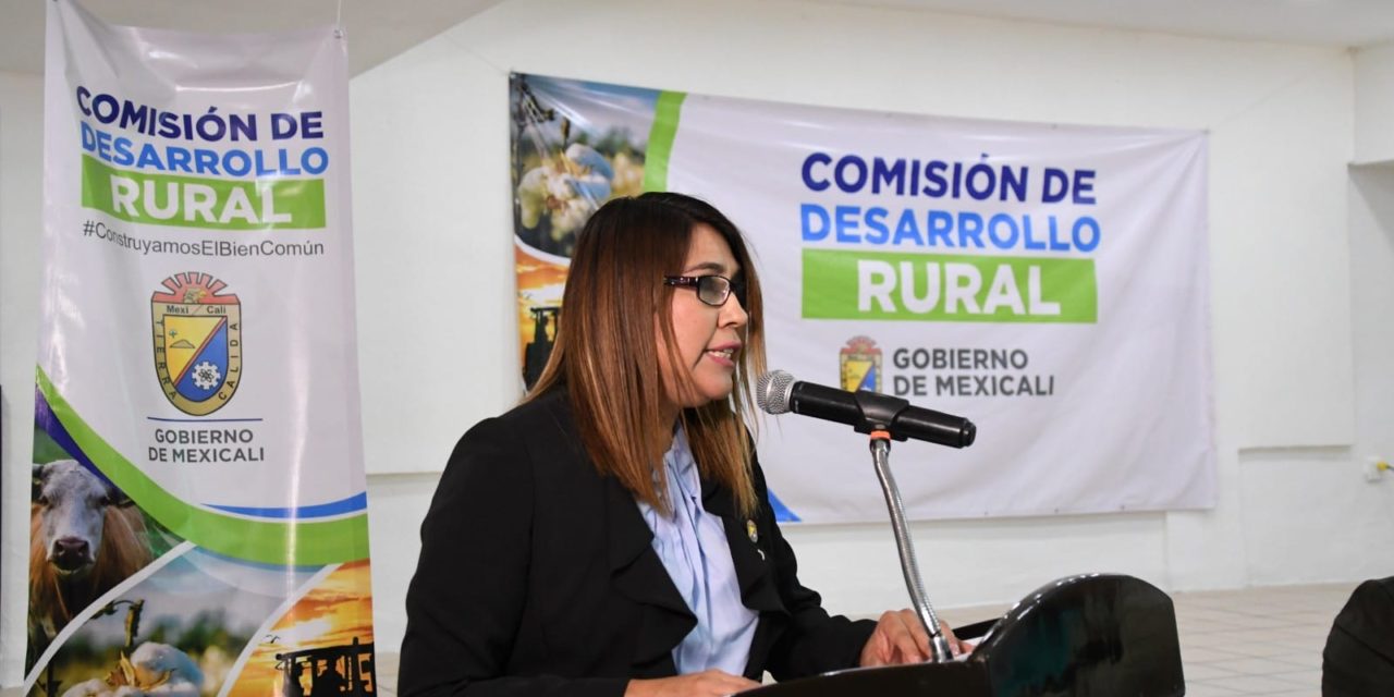 Regidora Edel invita a votar por propuesta de obras para el Valle