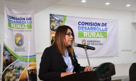 Regidora Edel invita a votar por propuesta de obras para el Valle