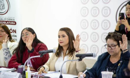 Diputada Alejandra Ang presenta informe de Comisión de Fiscalización