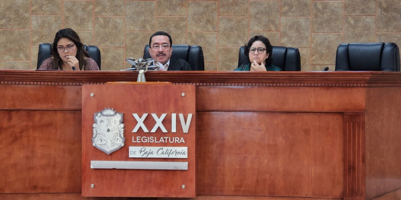Diputado Guerrero pide atender crisis de trigueros