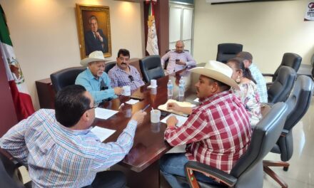 Trigueros se reúnen con diputado Manuel Guerrero