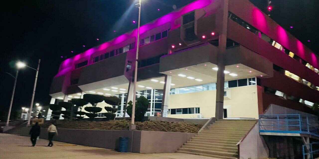 Iluminan Centro de Gobierno color rosa