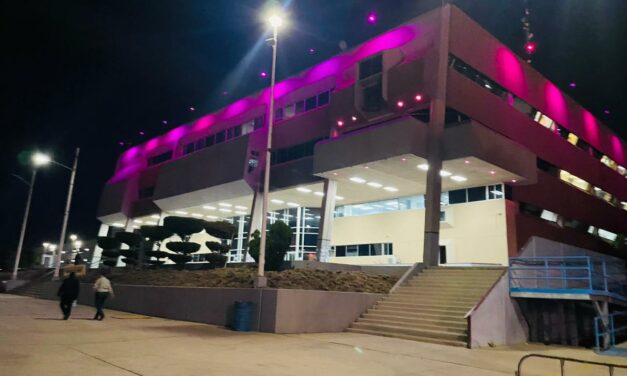 Iluminan Centro de Gobierno color rosa