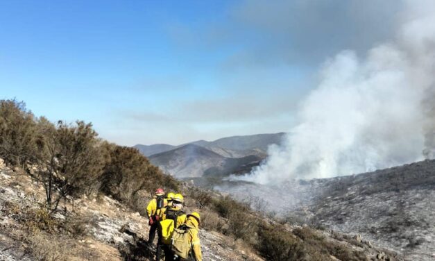 Incendio en el Valle de Guadalupe contamina aire de Mexicali