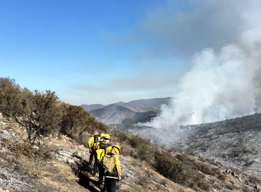 Incendio en el Valle de Guadalupe contamina aire de Mexicali